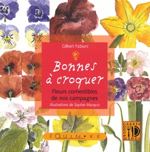 image de l'article